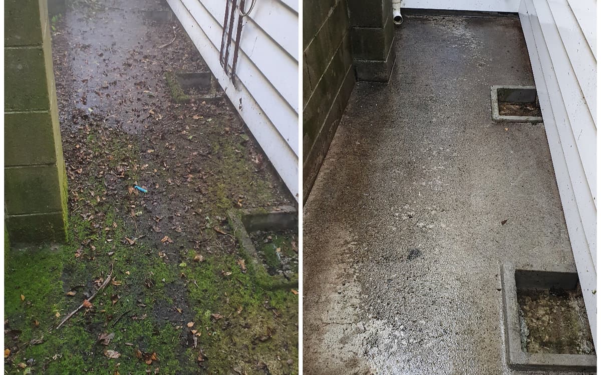 Roof & house wash